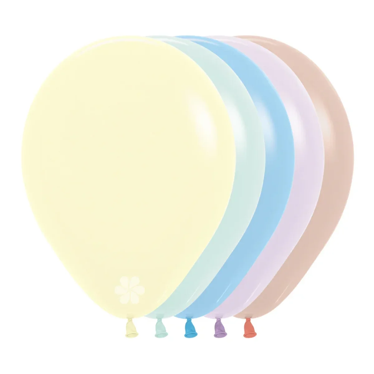 bombas cumpleaños Colores surtidos pastel